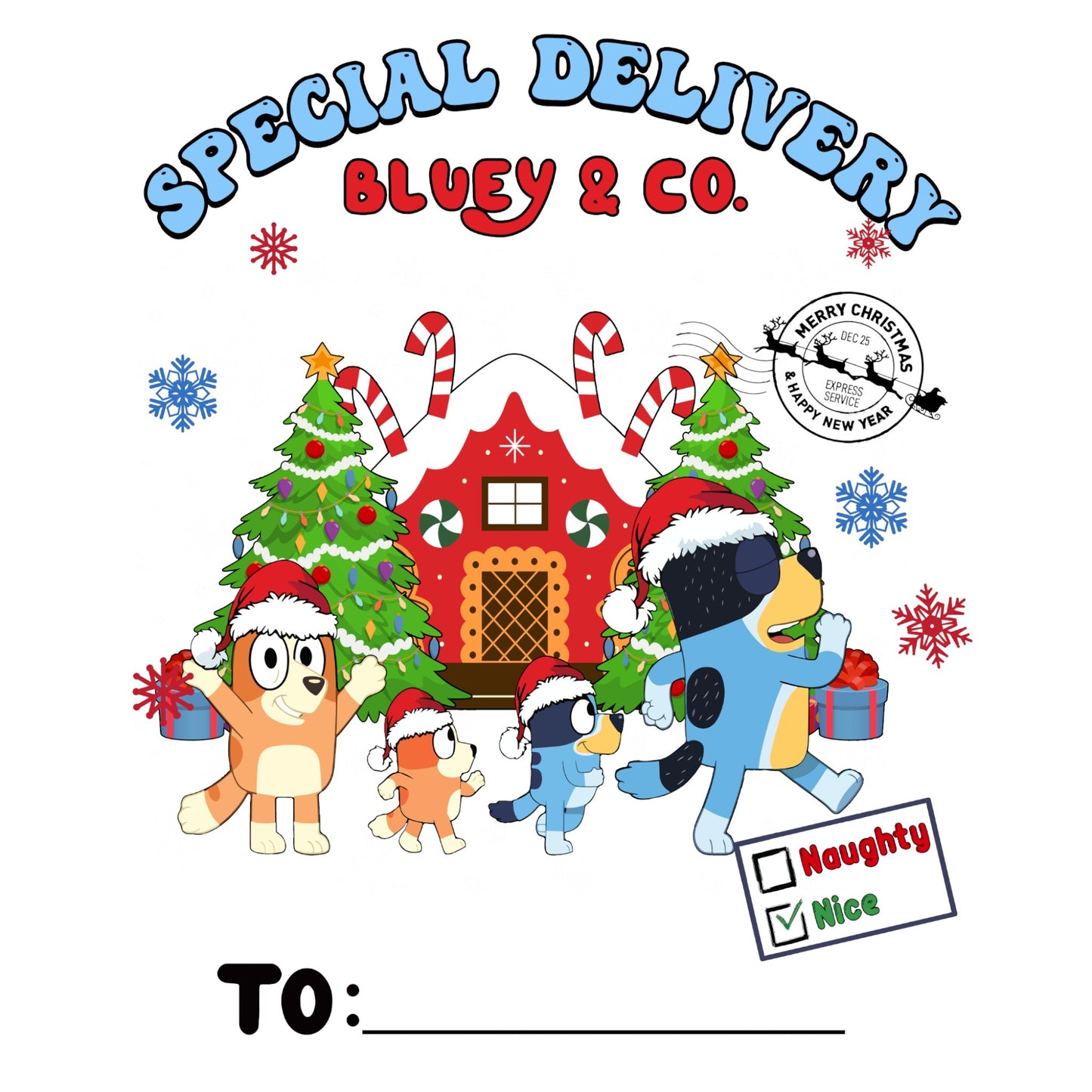 Custom Santa Sack - Bluey & Co 5