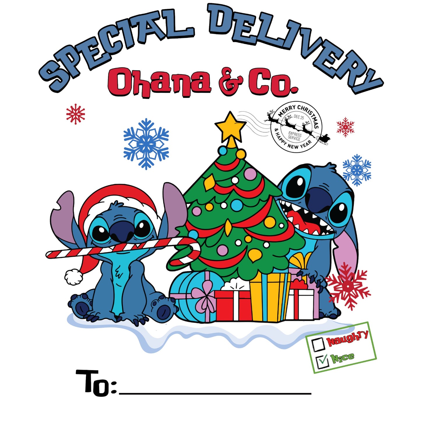 Custom Santa Sack - Ohana & Co 2