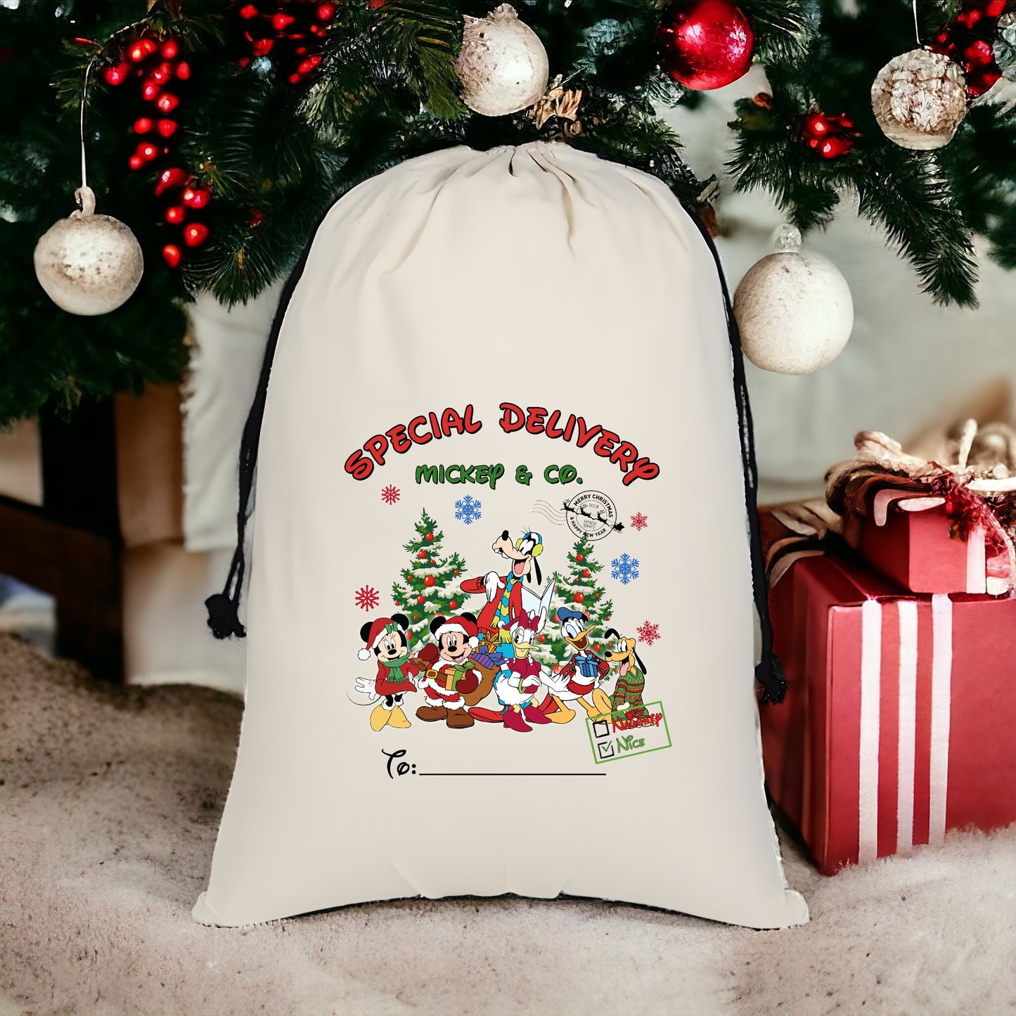 Custom Santa Sack - Special Delivery Mouse & Co 1