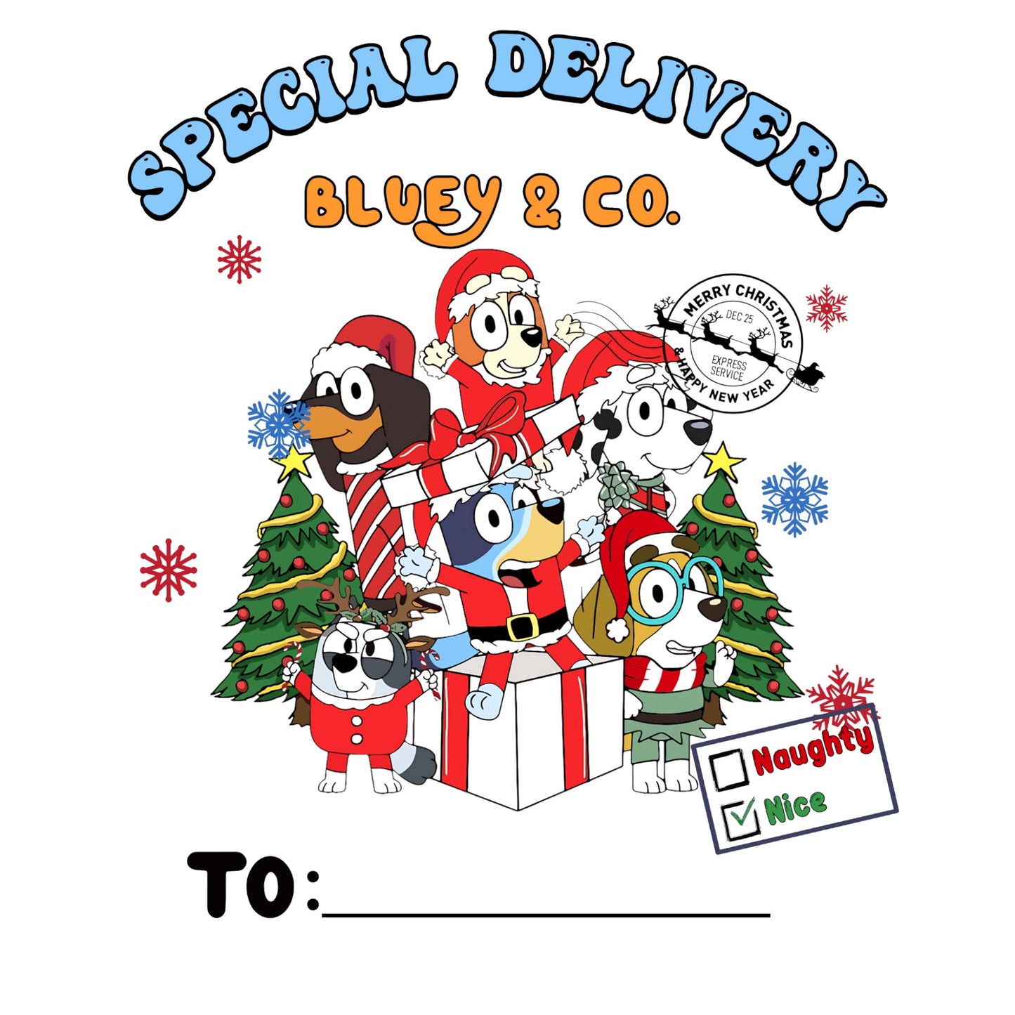Custom Santa Sack - Bluey & Co 1