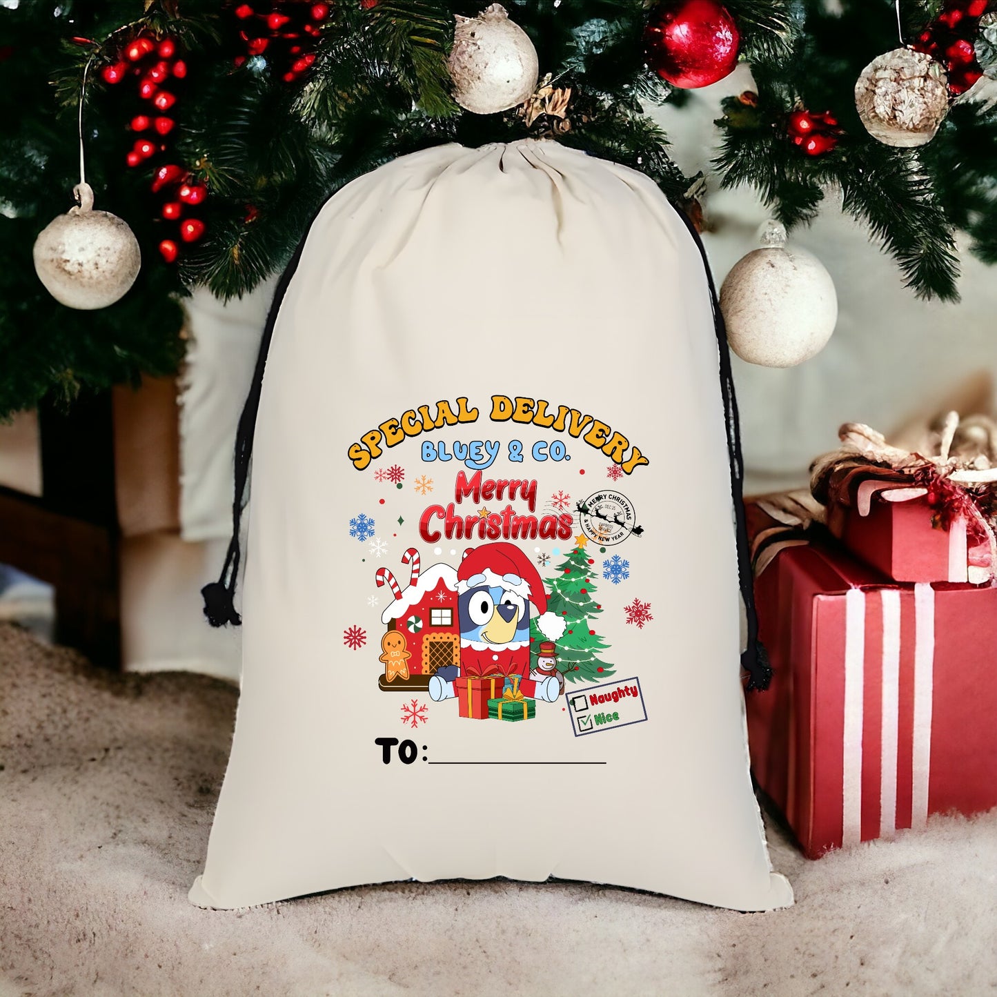 Custom Santa Sack - Bluey & Co 3