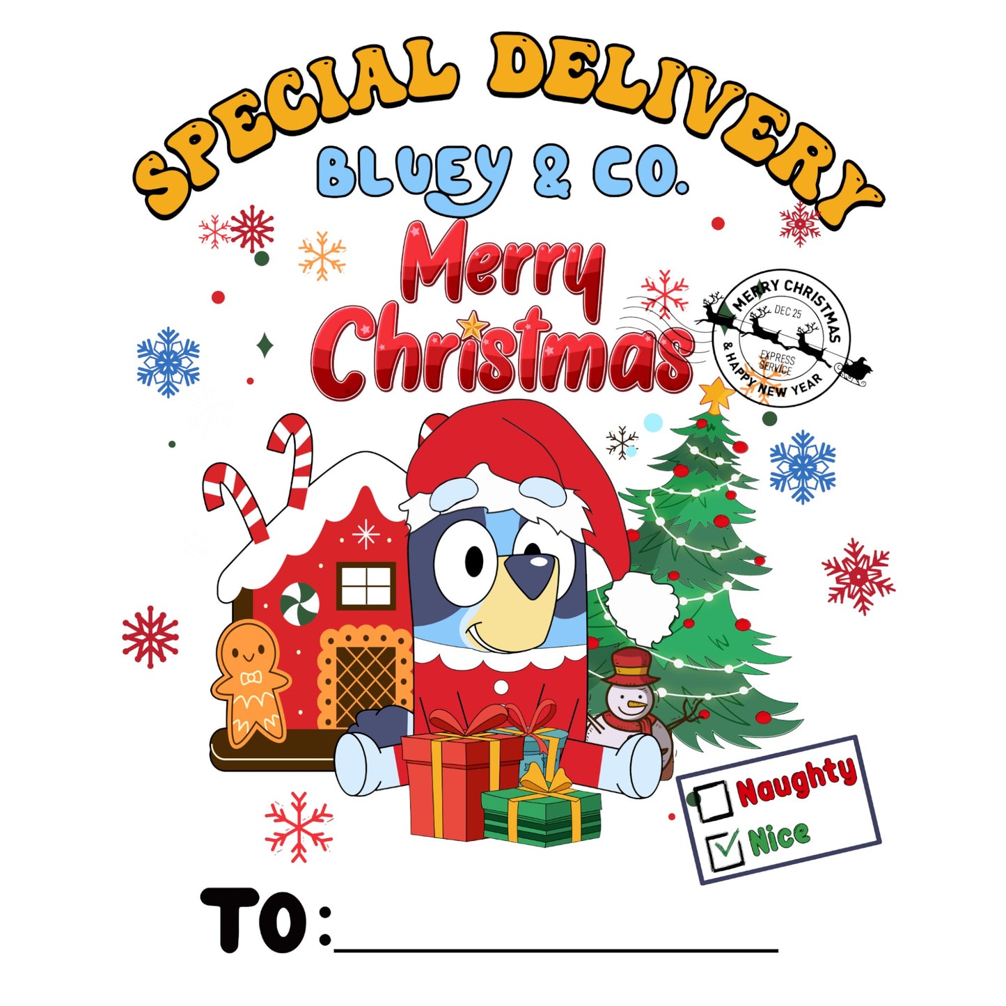 Custom Santa Sack - Bluey & Co 3