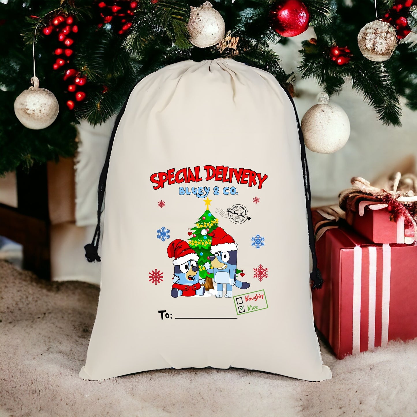 Custom Santa Sack - Bluey & Co 7