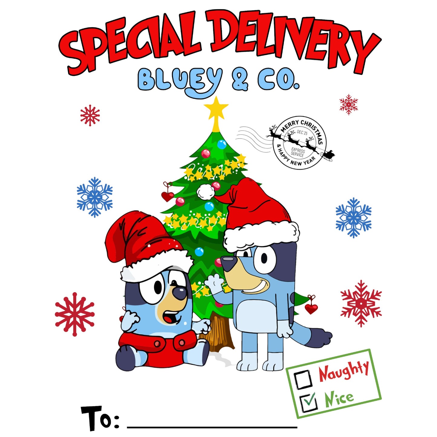 Custom Santa Sack - Bluey & Co 7